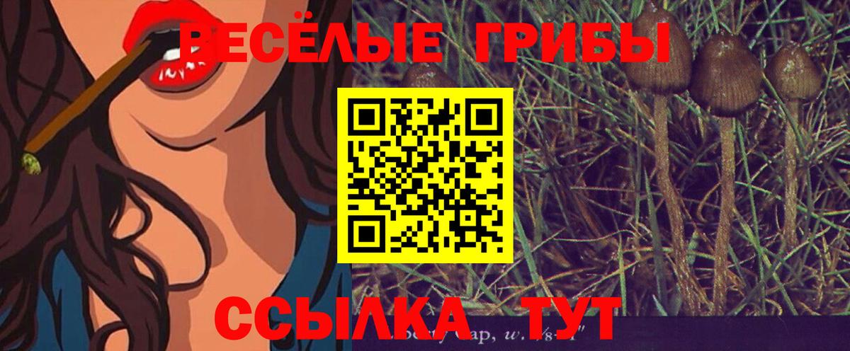 Галлюциногенные грибы Magic Shrooms  Вход с VPN  Ревда 